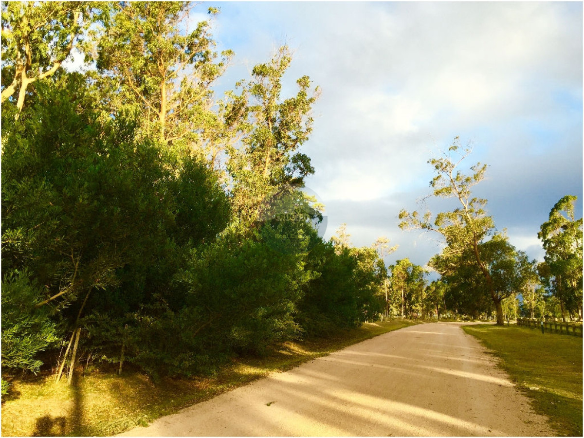 Terreno ID.5287 - VENTA DE TERRENOS EN EDEN ROCK