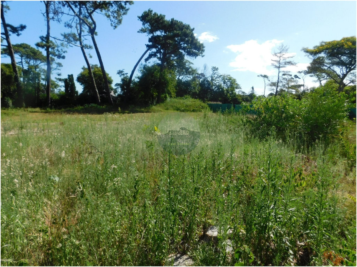 Terreno ID.5309 - Terreno en Punta del Este, Mansa