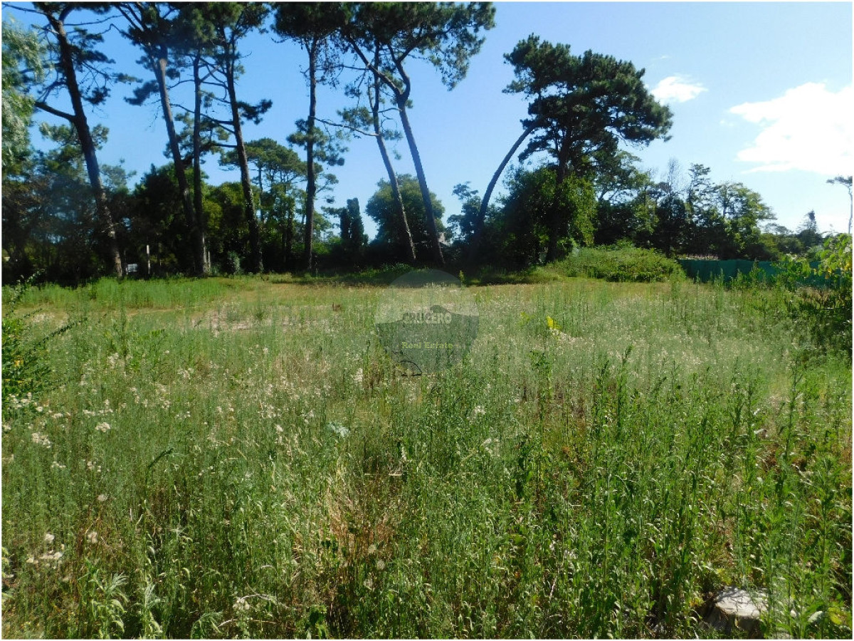 Terreno ID.5309 - Terreno en Punta del Este, Mansa