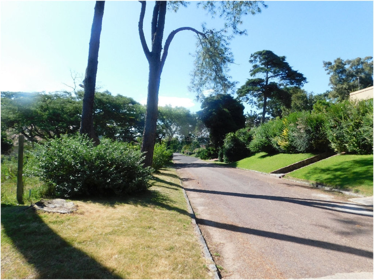 Terreno ID.5309 - Terreno en Punta del Este, Mansa