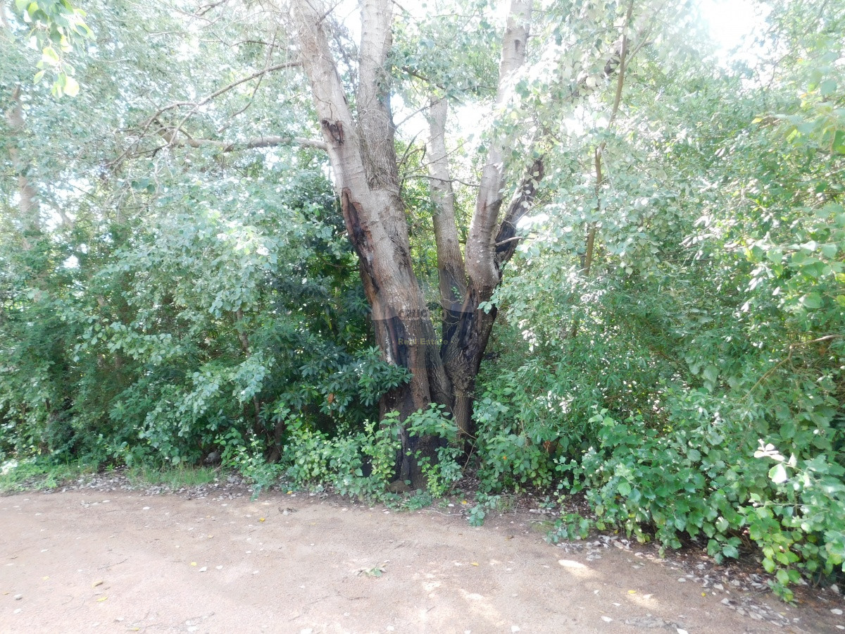 Terreno ID.5706 - TERRENO EN VENTA RINCON DEL INDIO 1200 MTS