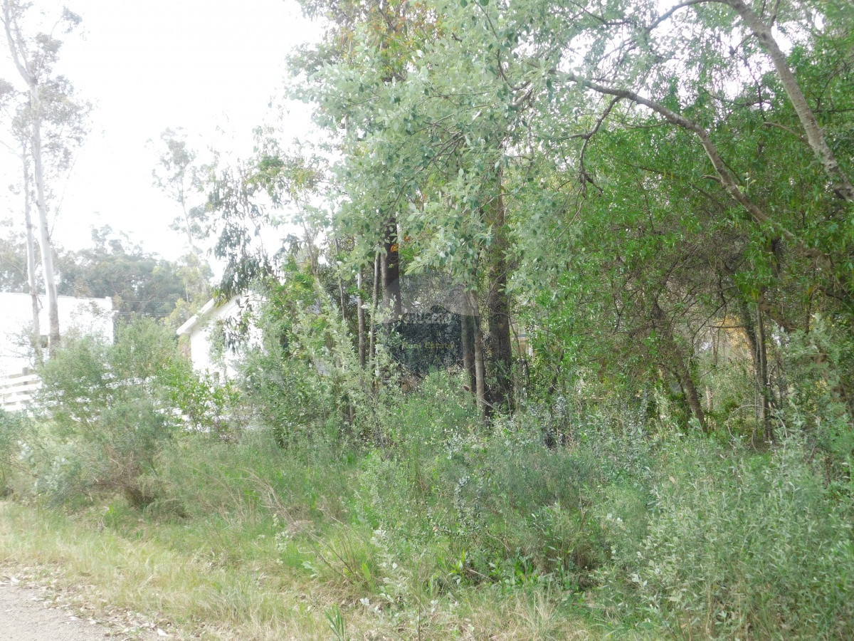 Terreno ID.5302 - Terreno en PiriÃ¡polis, Punta Colorada