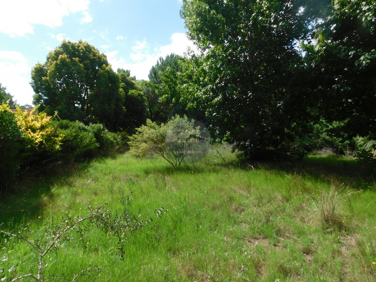 Terreno ID.5706 - TERRENO EN VENTA RINCON DEL INDIO 1200 MTS