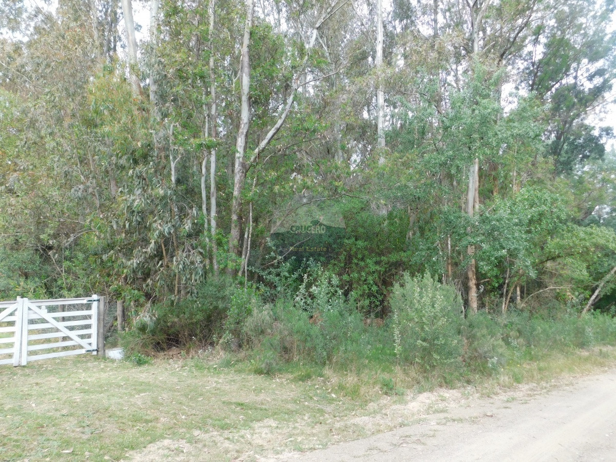 Terreno ID.5302 - Terreno en PiriÃ¡polis, Punta Colorada