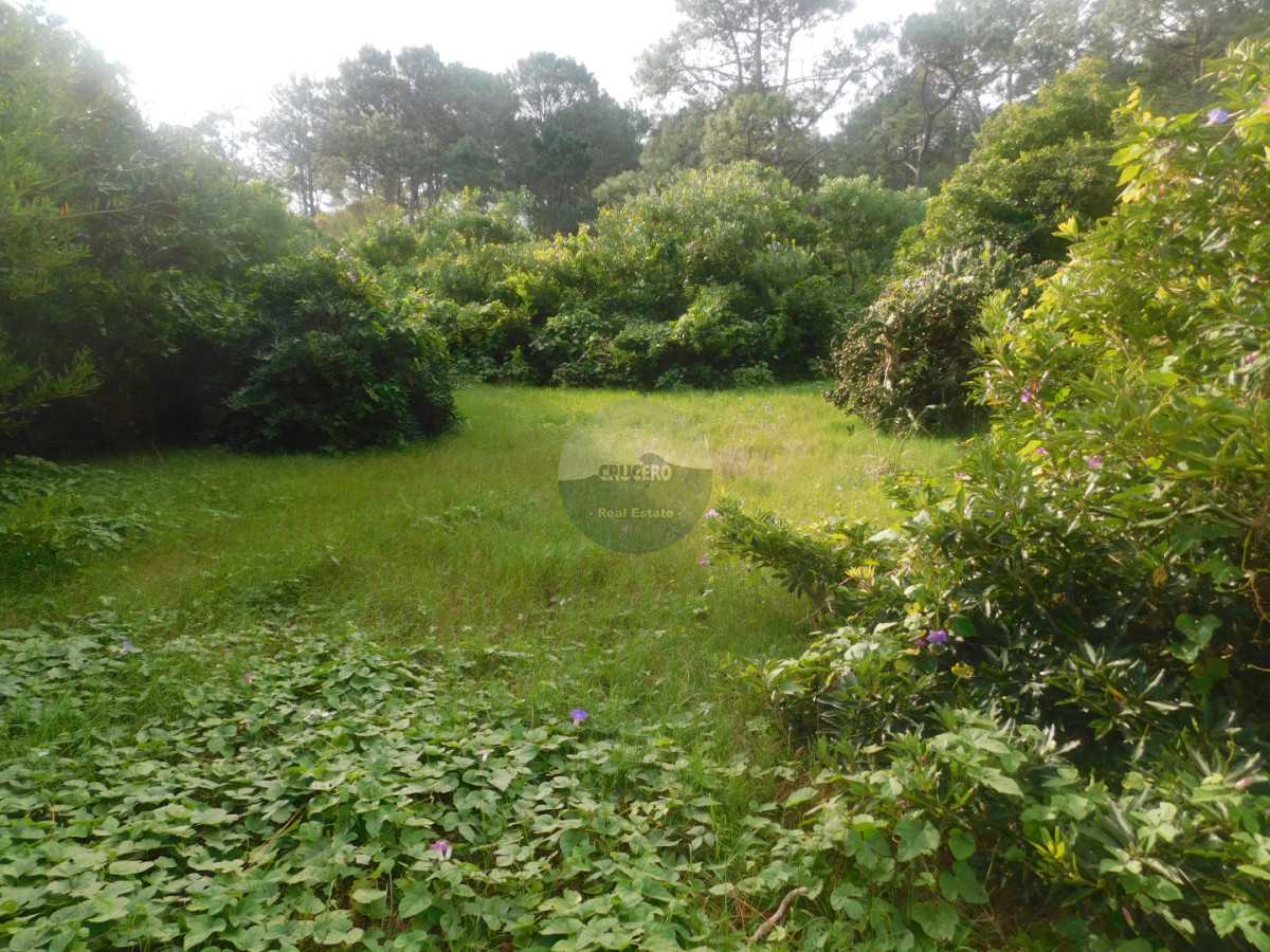 Terreno ID.6589 - VENTA TERRENO EN MANATIALES
