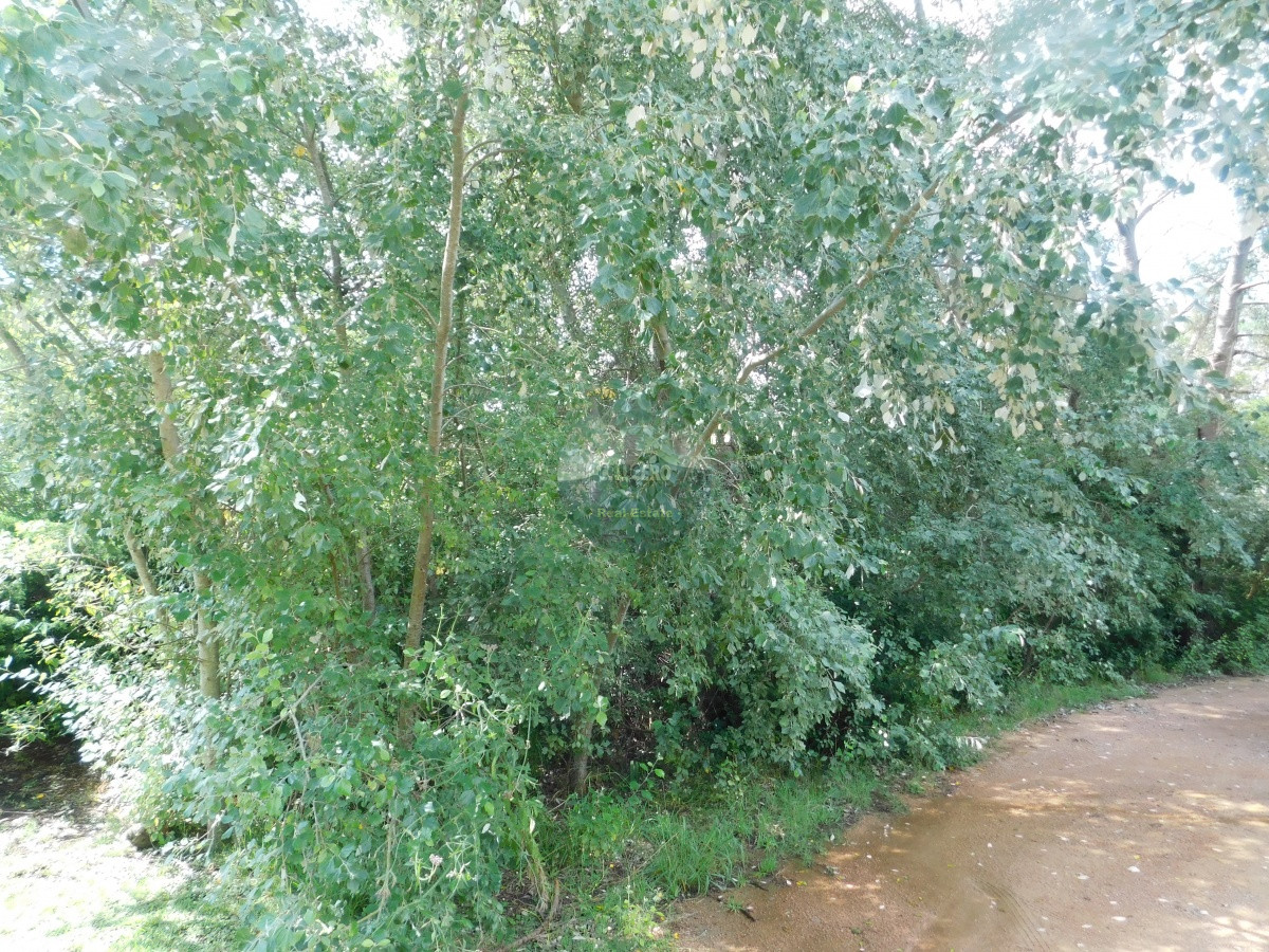 Terreno ID.5706 - TERRENO EN VENTA RINCON DEL INDIO 1200 MTS