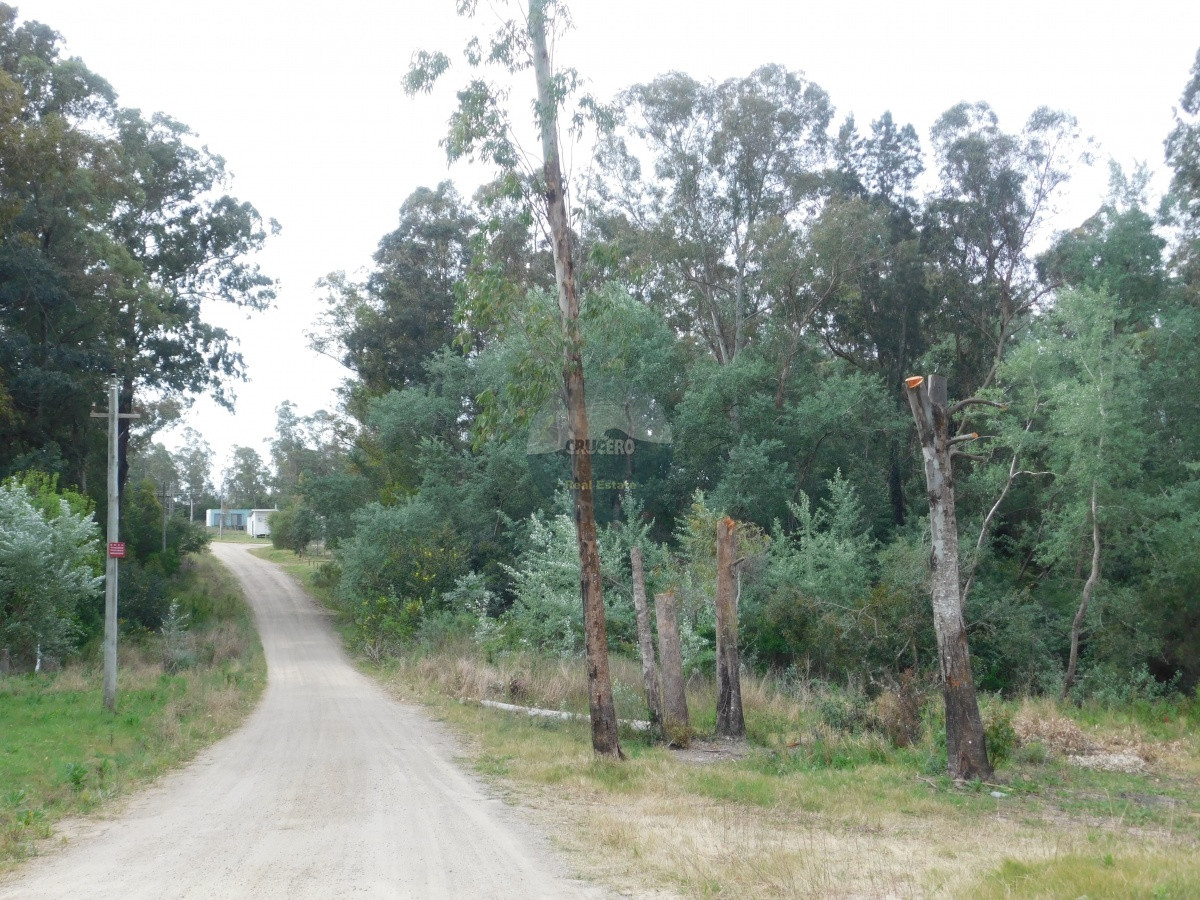 Terreno ID.5302 - Terreno en PiriÃ¡polis, Punta Colorada