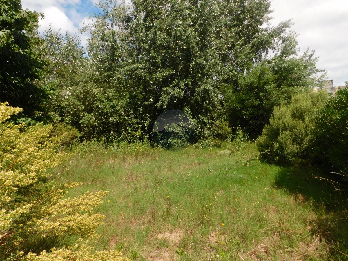Terreno ID.5706 - TERRENO EN VENTA RINCON DEL INDIO 1200 MTS