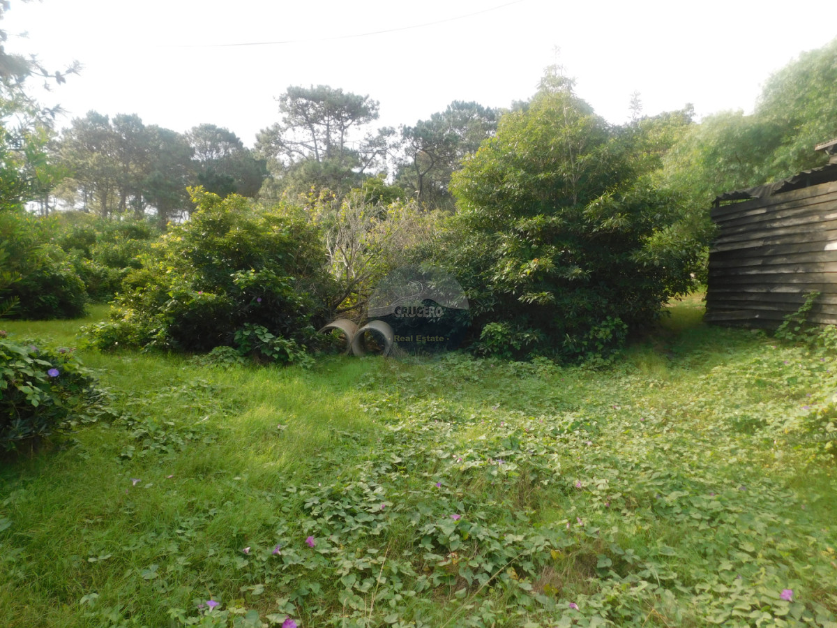 Terreno ID.6589 - VENTA TERRENO EN MANATIALES
