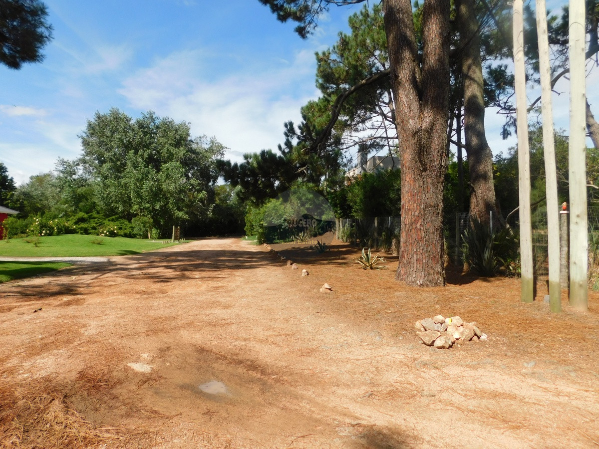 Terreno ID.5706 - TERRENO EN VENTA RINCON DEL INDIO 1200 MTS