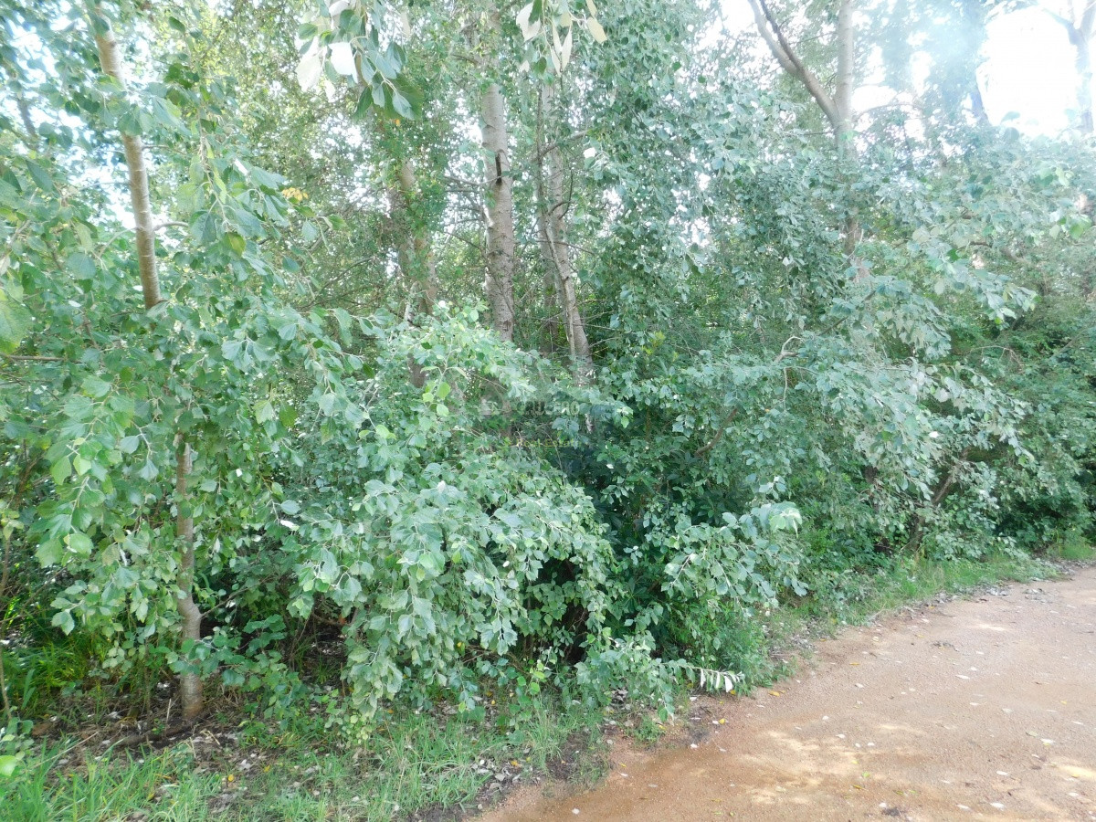 Terreno ID.5706 - TERRENO EN VENTA RINCON DEL INDIO 1200 MTS