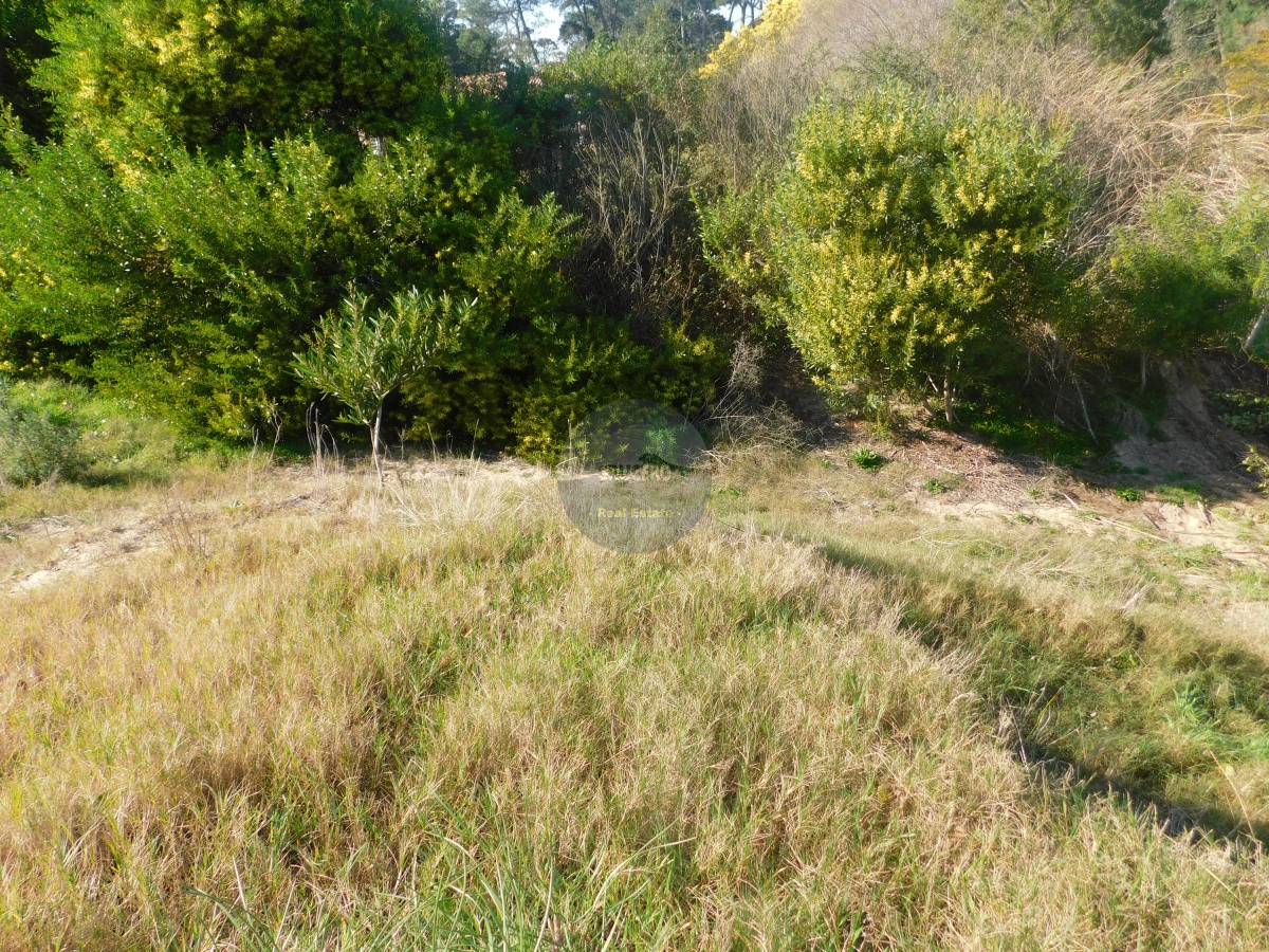 Terreno ID.5872 - TERRENO EN VENTA EN LUGANO