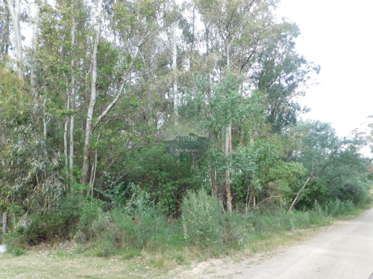 Terreno ID.5302 - Terreno en PiriÃ¡polis, Punta Colorada
