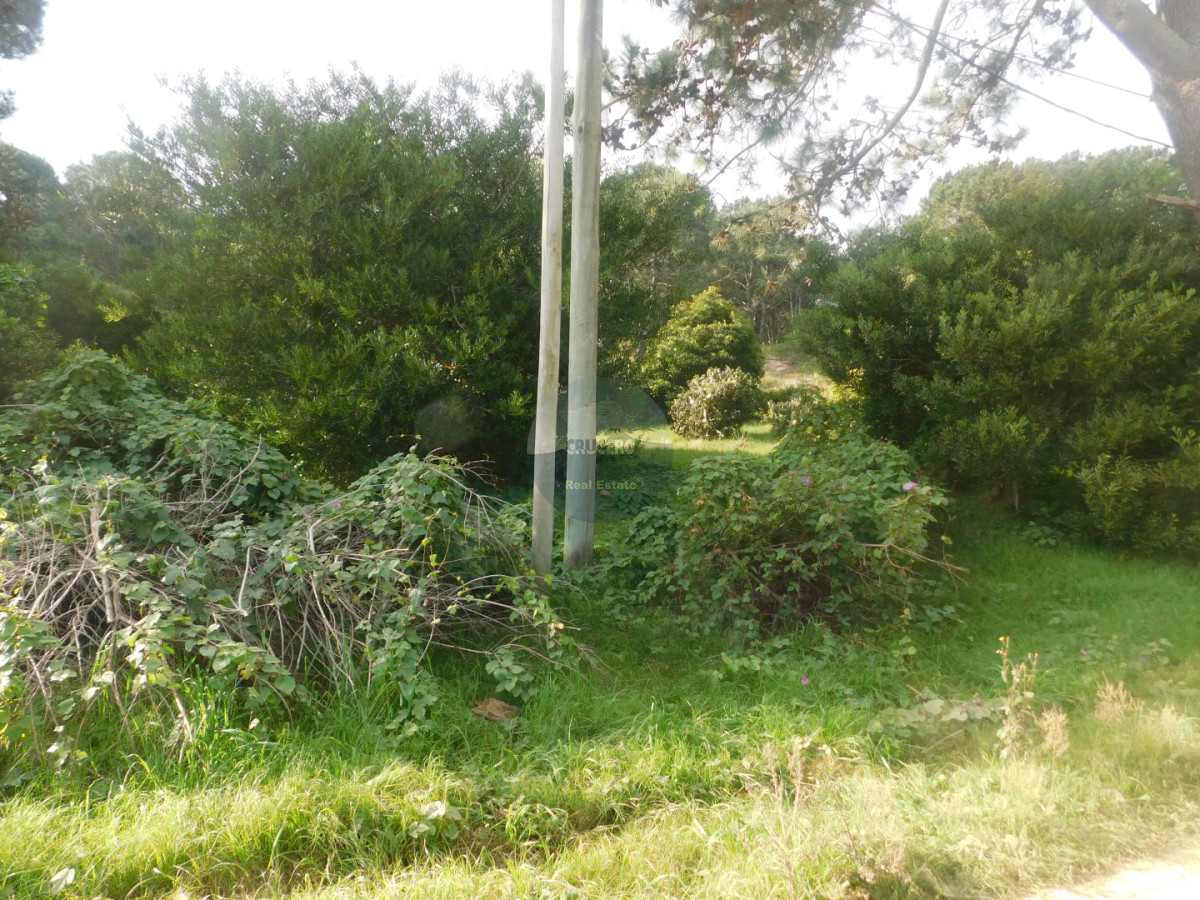 Terreno ID.6589 - VENTA TERRENO EN MANATIALES