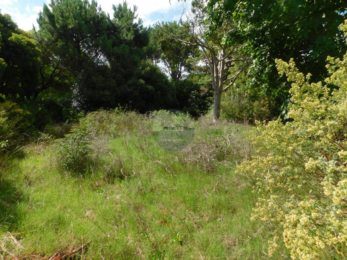 Terreno ID.5706 - TERRENO EN VENTA RINCON DEL INDIO 1200 MTS