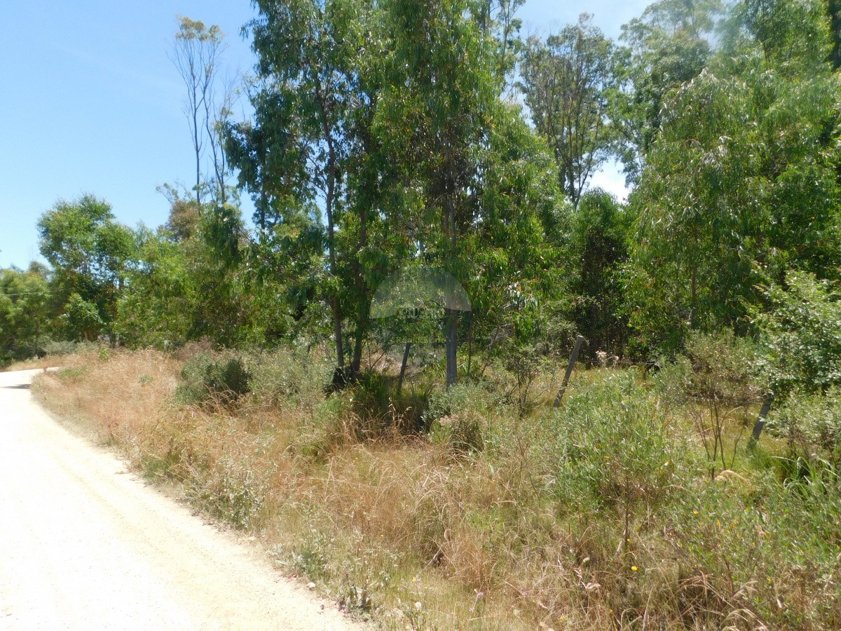 Terreno ID.5672 - TERRENO EN VENTA EN EL TESORO