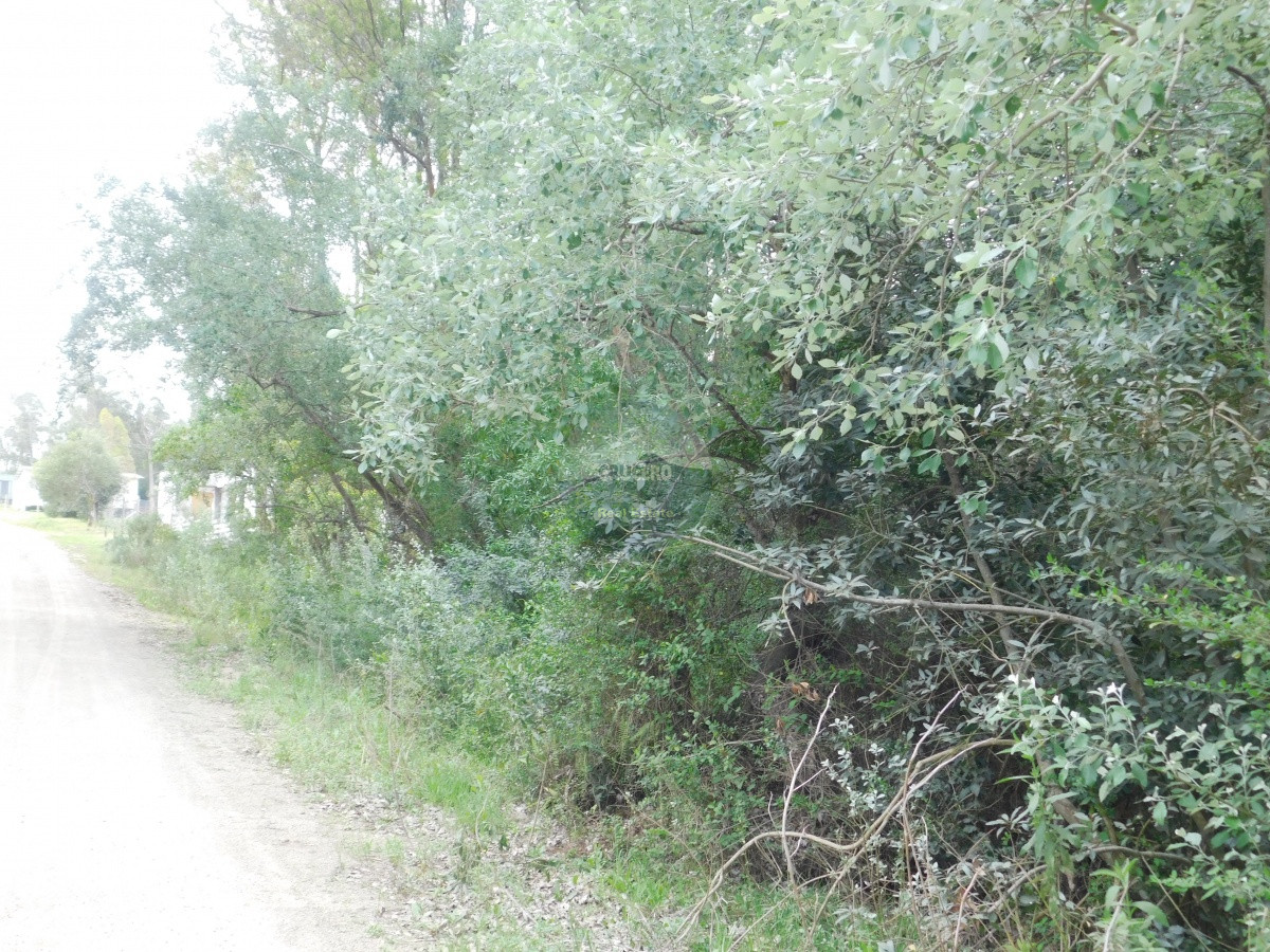 Terreno ID.5302 - Terreno en PiriÃ¡polis, Punta Colorada