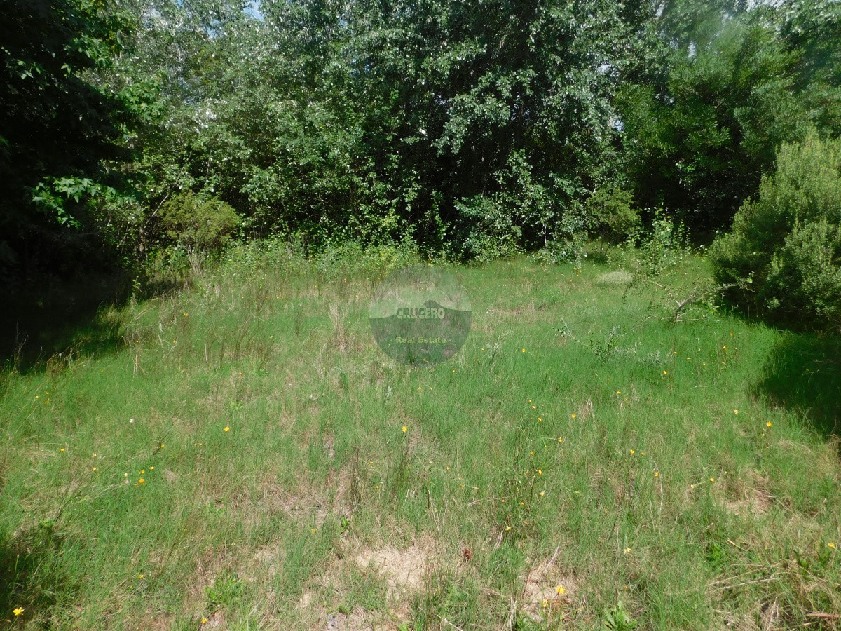 Terreno ID.5706 - TERRENO EN VENTA RINCON DEL INDIO 1200 MTS