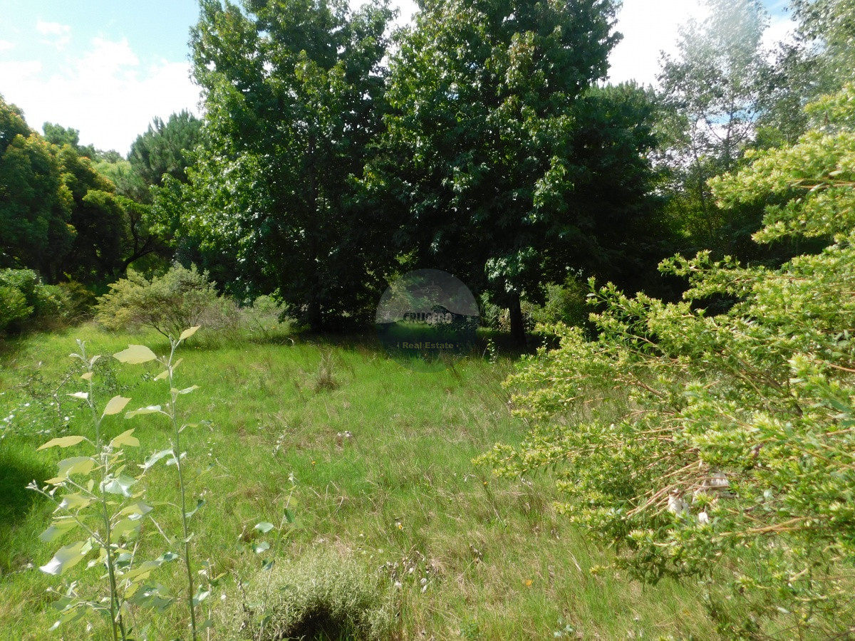 Terreno ID.5706 - TERRENO EN VENTA RINCON DEL INDIO 1200 MTS