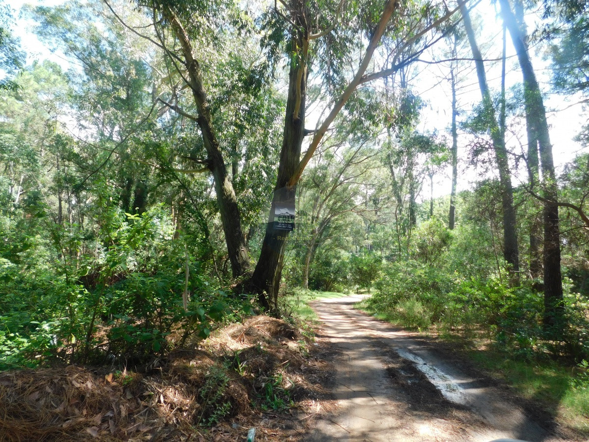 Terreno ID.5262 - TERRENOS EN VENTA EN PUNTA BALLENA