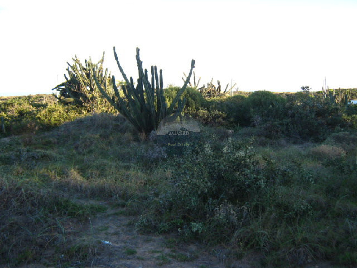 Terreno ID.5220 - Terreno en Punta Ballena, Sauce de Portezuelo