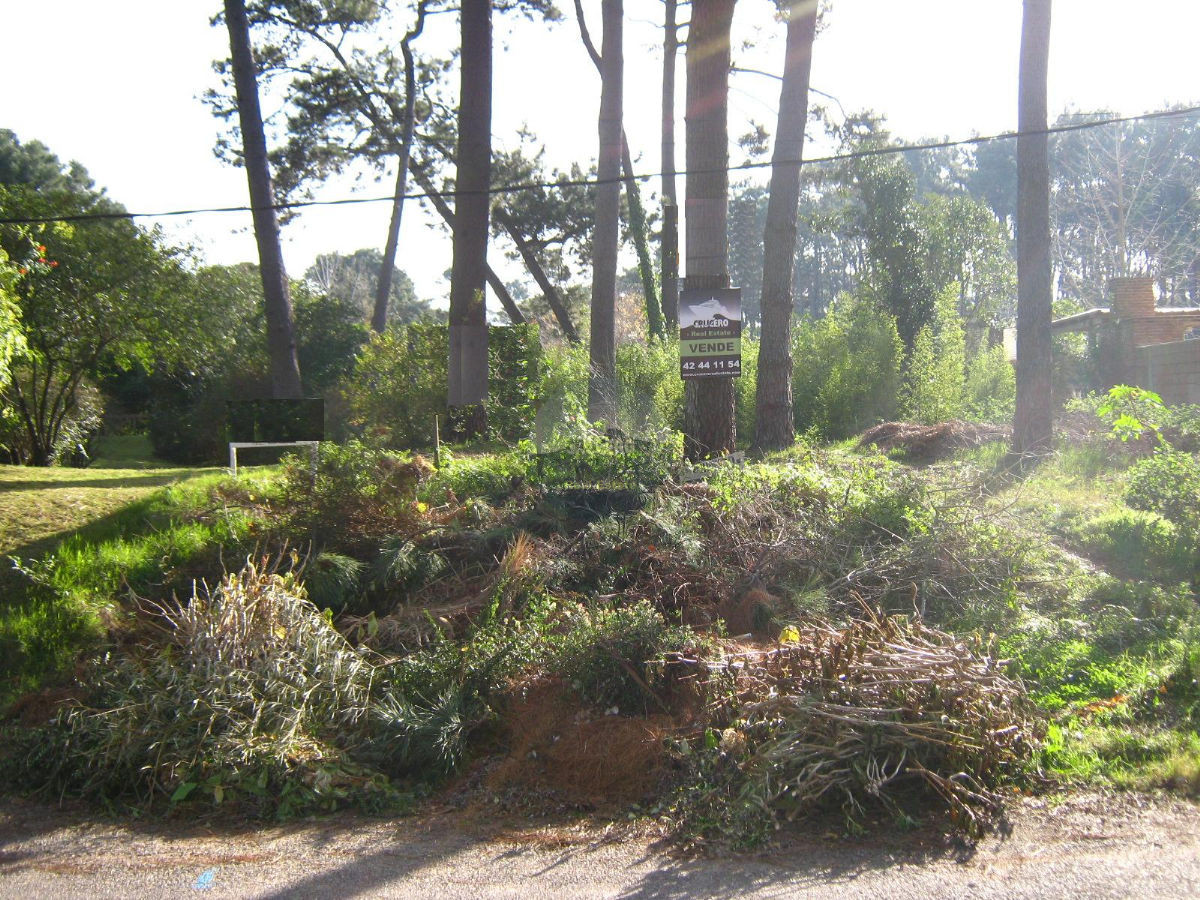 Terreno ID.5232 - Terreno en Punta del Este, Lugano