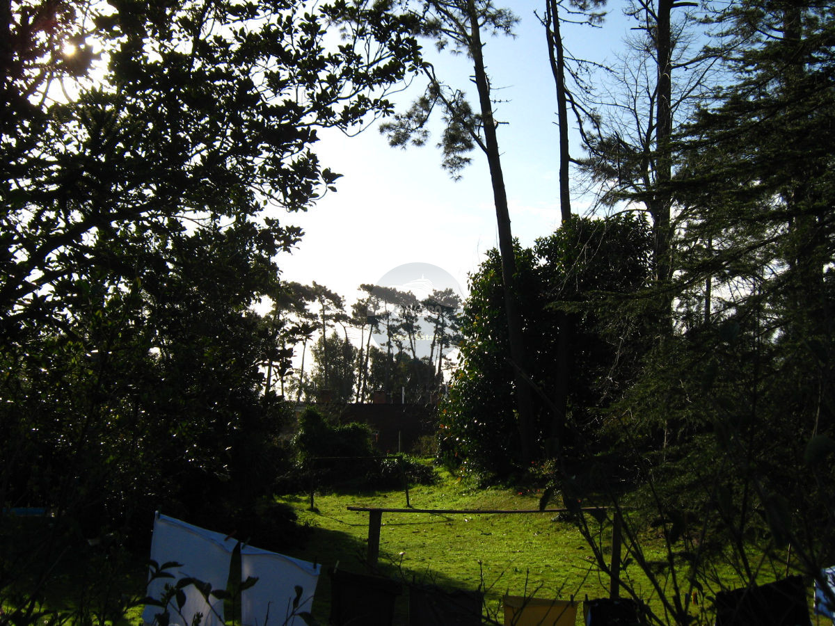 Terreno ID.5235 - Terreno en Punta del Este, Cantegril