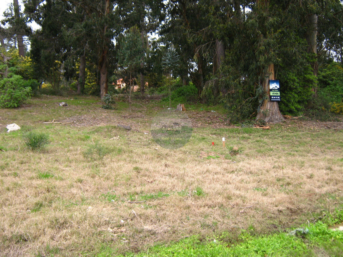 Terreno ID.5237 - Terreno en Punta del Este, Jardines de CÃ³rdoba