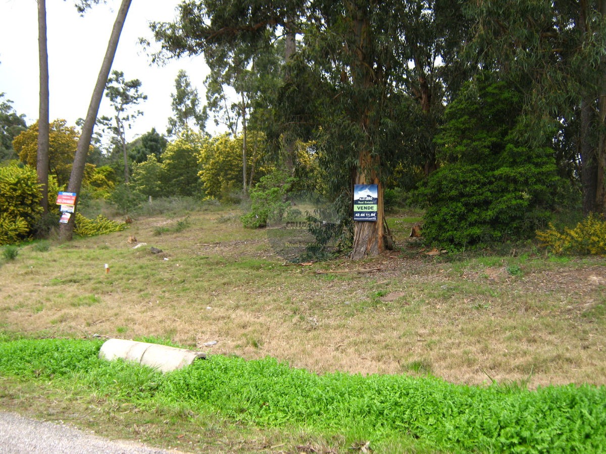 Terreno ID.5237 - Terreno en Punta del Este, Jardines de CÃ³rdoba