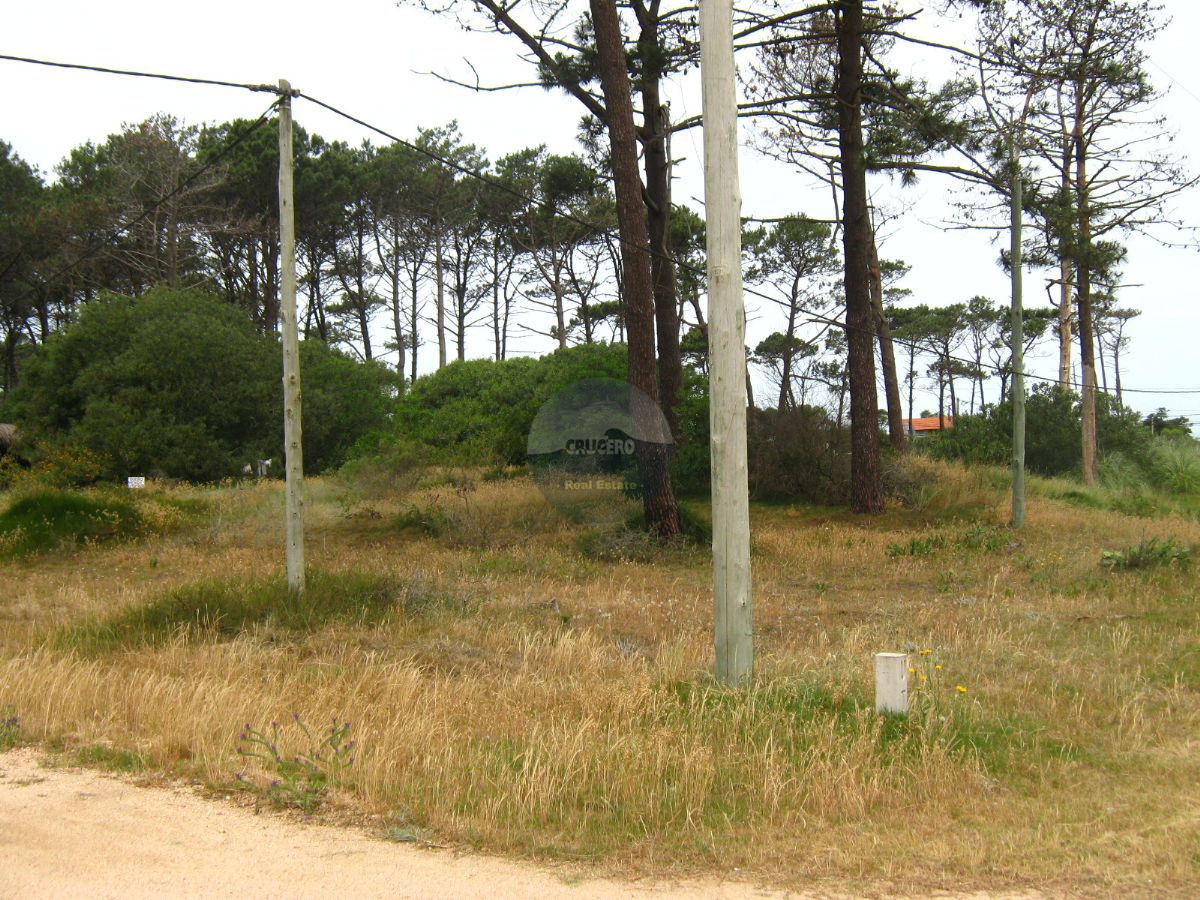 Terreno ID.5248 - Terreno en Jose Ignacio, La Juanita