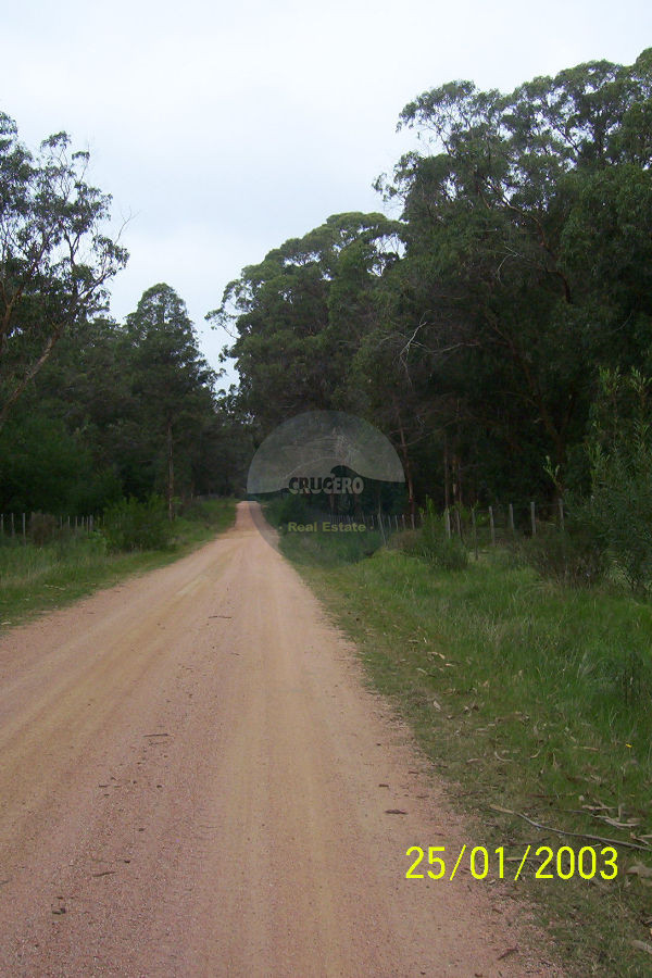 Terreno ID.5251 - Terreno en Jose Ignacio, Eden Rock