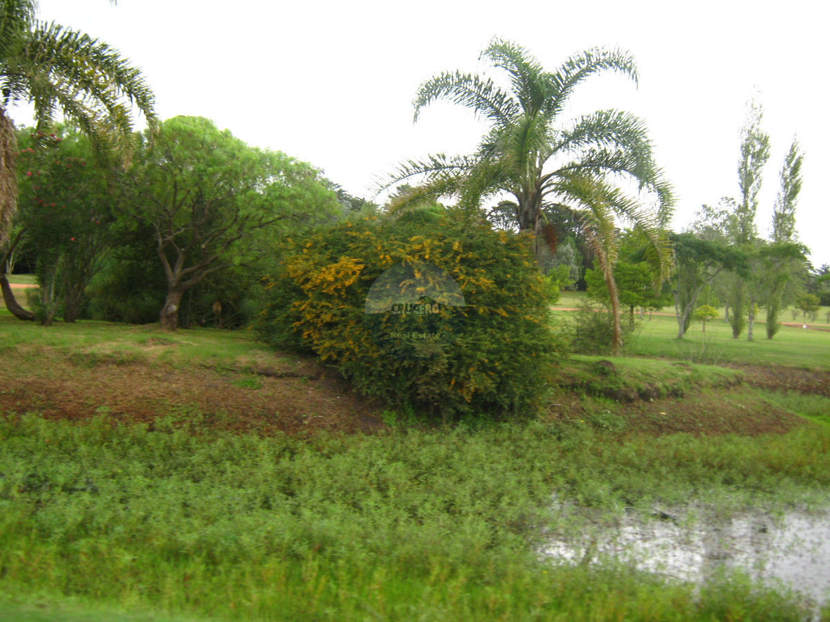 Terreno ID.5265 - Terreno en Punta Ballena, Camino Lussich