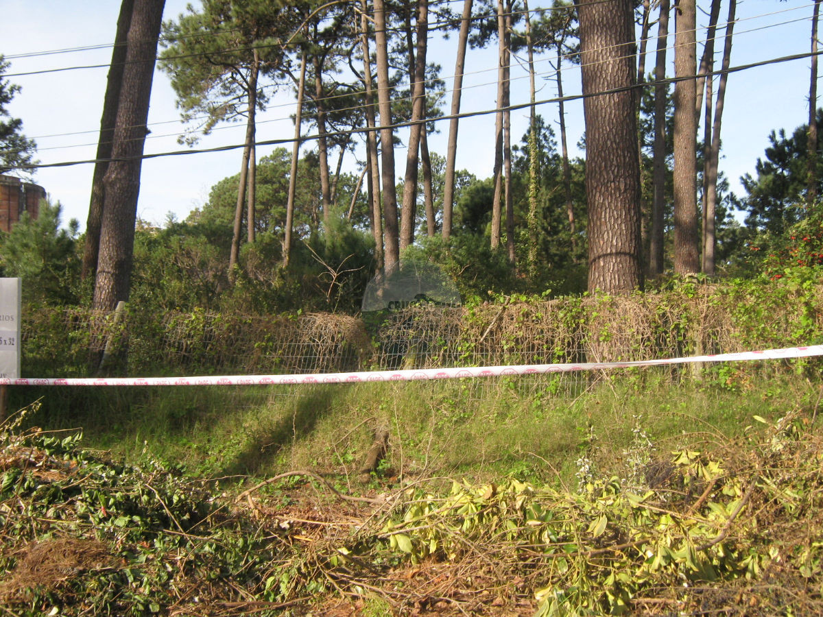 Terreno ID.5269 - Terreno en Punta del Este, Lugano