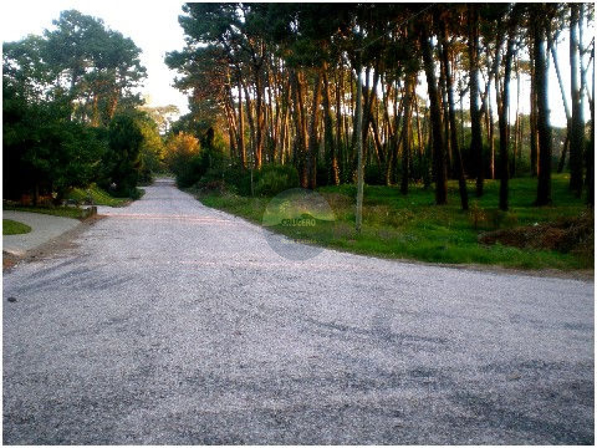 Terreno ID.5280 - Terreno en Punta del Este, Marly