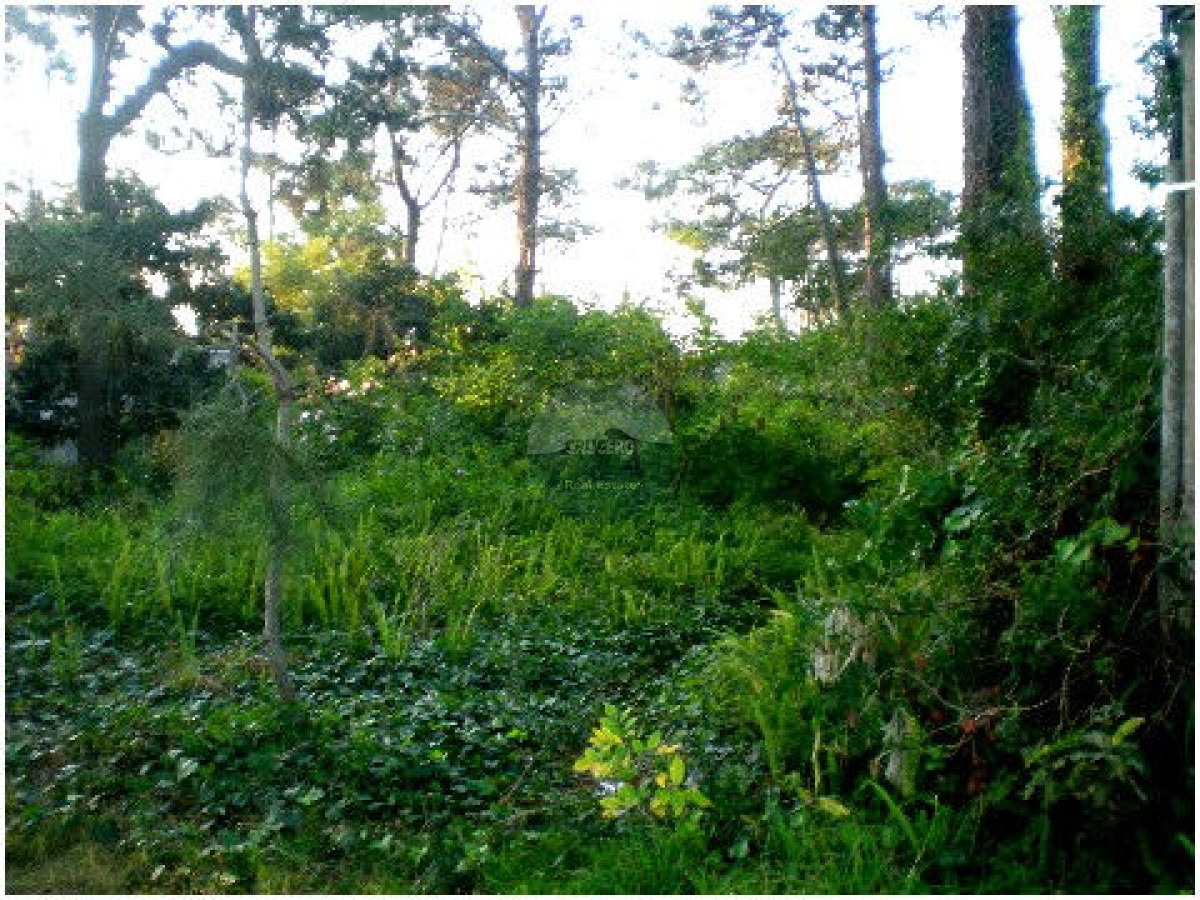 Terreno ID.5280 - Terreno en Punta del Este, Marly