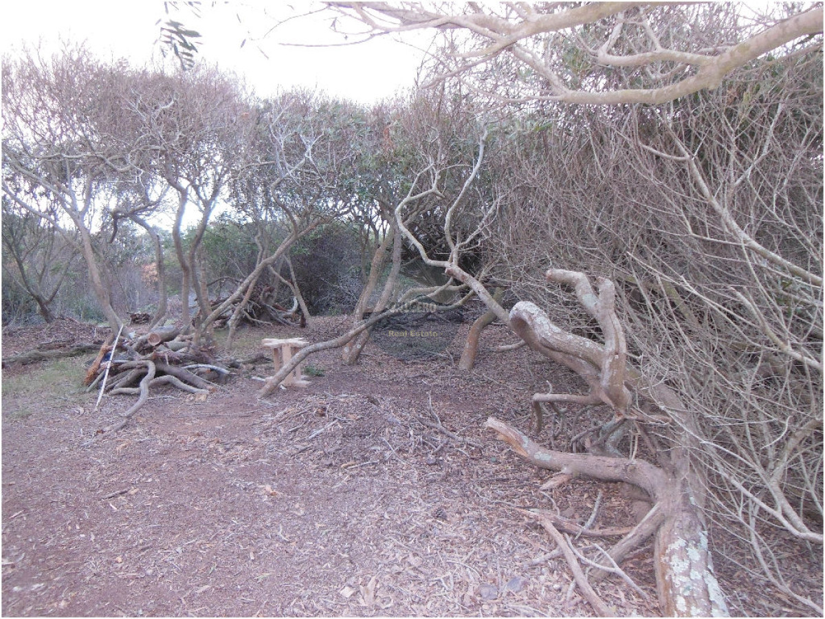 Terreno ID.5289 - Terreno en Costa, El Caracol