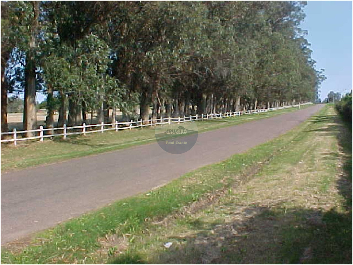 Terreno ID.5298 - Terreno en La Barra, Camino Eguzquiza