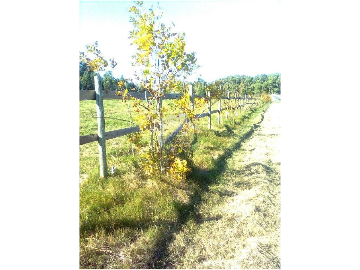 Terreno ID.5298 - Terreno en La Barra, Camino Eguzquiza