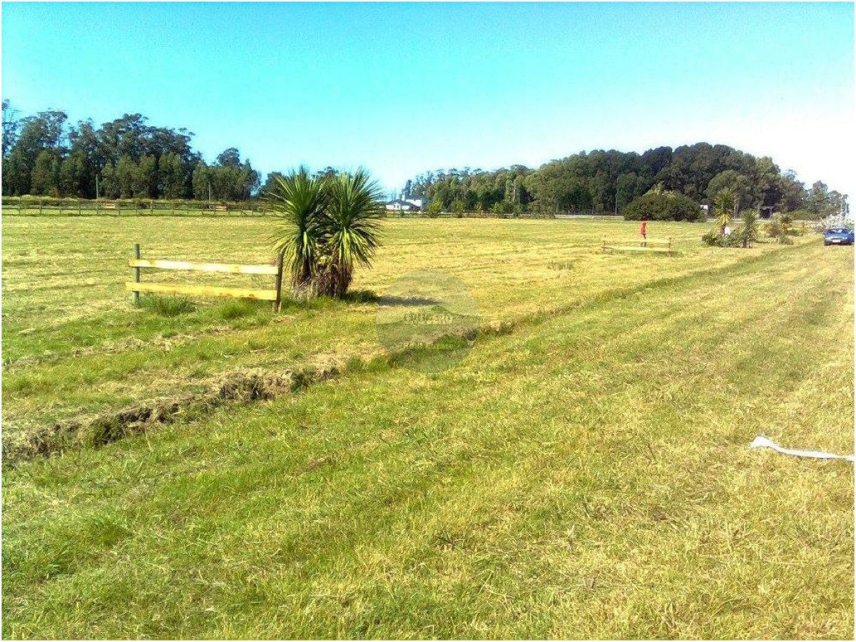 Terreno ID.5298 - Terreno en La Barra, Camino Eguzquiza