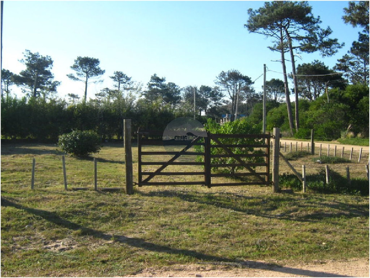 Terreno ID.5299 - Terreno en Jose Ignacio, La Juanita