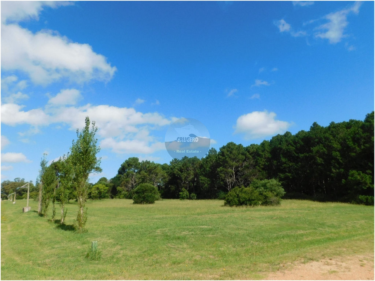 Terreno ID.5306 - VENTA LOTES EN LOS TORDILLOS - PUNTA DEL ESTE