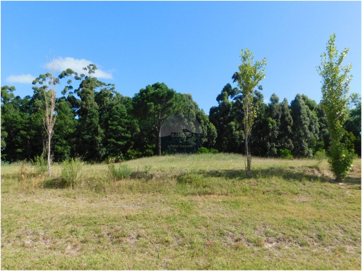 Terreno ID.5306 - VENTA LOTES EN LOS TORDILLOS - PUNTA DEL ESTE