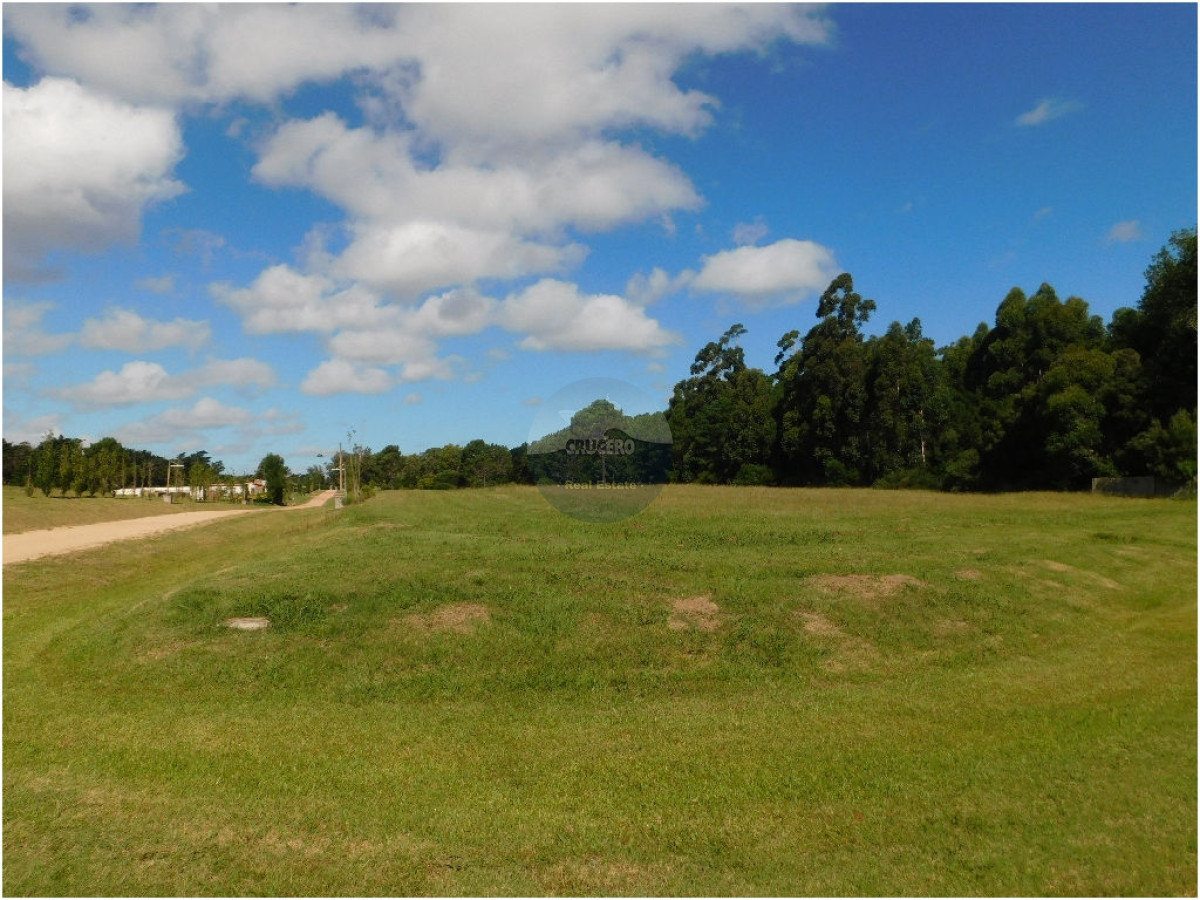 Terreno ID.5306 - VENTA LOTES EN LOS TORDILLOS - PUNTA DEL ESTE