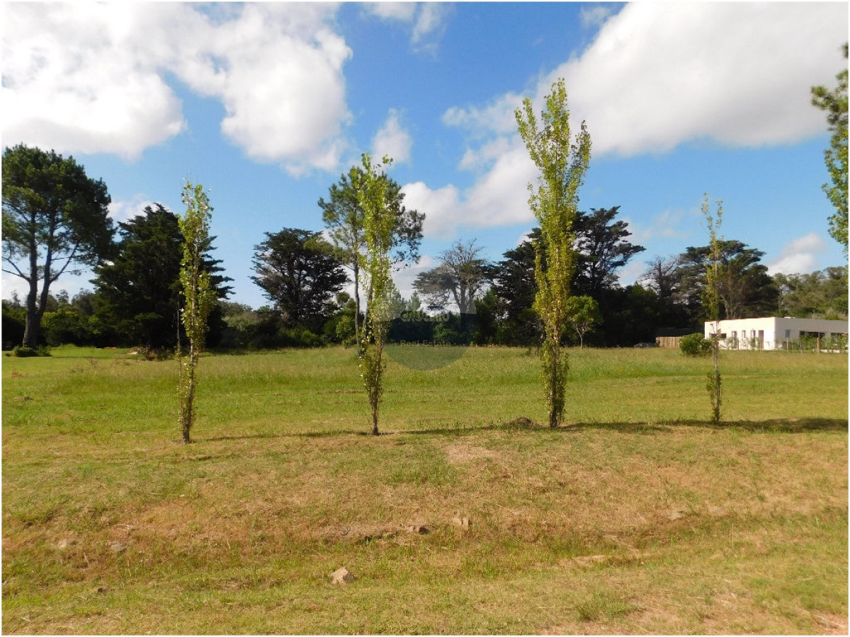 Terreno ID.5306 - VENTA LOTES EN LOS TORDILLOS - PUNTA DEL ESTE