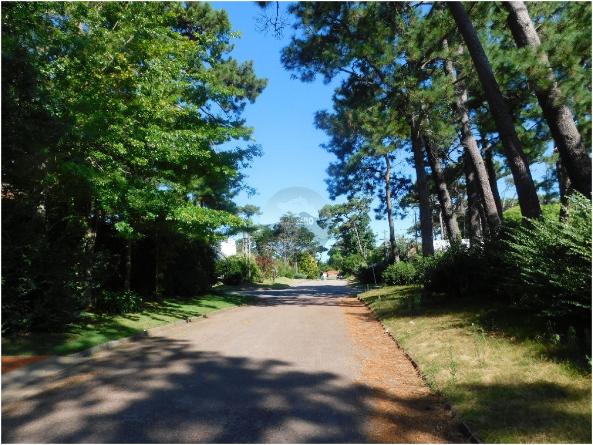 Terreno ID.5309 - Terreno en Punta del Este, Mansa