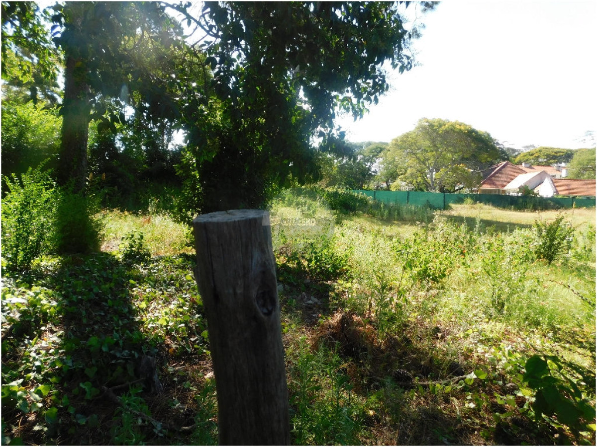 Terreno ID.5311 - Terreno en Punta del Este, Mansa
