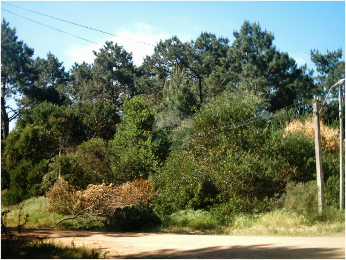 Terreno ID.5101 - Terreno en Punta del Este, Rincón del Indio