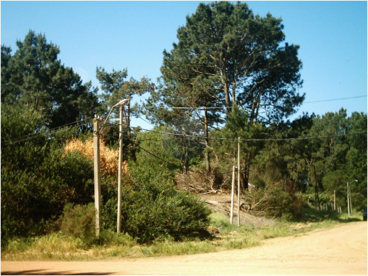 Terreno ID.5101 - Terreno en Punta del Este, Rincón del Indio