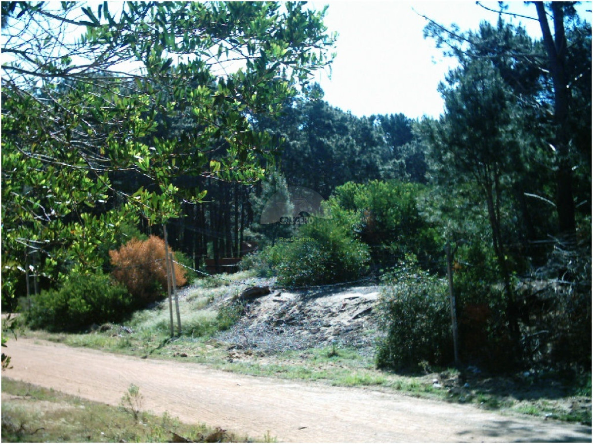 Terreno ID.5101 - Terreno en Punta del Este, Rincón del Indio