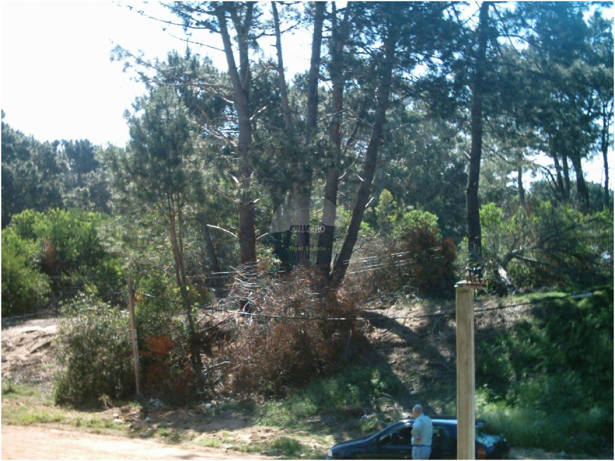 Terreno ID.5101 - Terreno en Punta del Este, Rincón del Indio